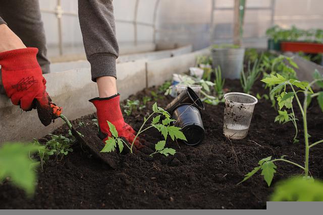 Découvrez le jardinage hors-sol : comment créer un potager hors sol et améliorer vos cultures ?