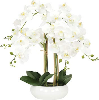 Orchidées artificielles haut de gamme : comment les choisir pour les confondre avec des vraies ?
