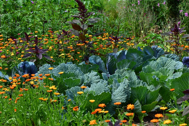 Les avantages de cultiver un jardin potager bio à la maison