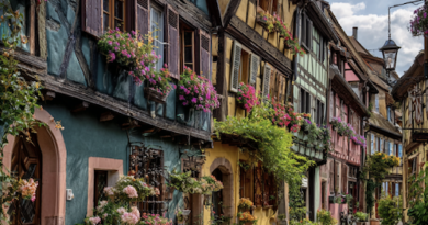 Maisons à colombage dans une rue d'alsace