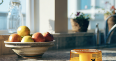 Moucherons dans la cuisine